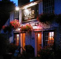 The Viper, Mill Green